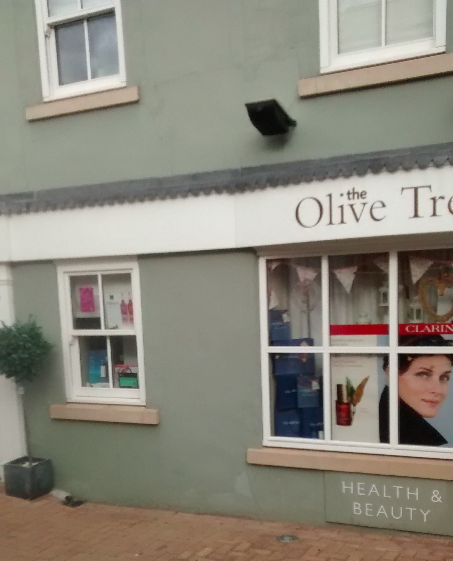 The Olive Tree shopfront in Church Court, painted sage with the Olive Tree sign and Health & Beauty plaque